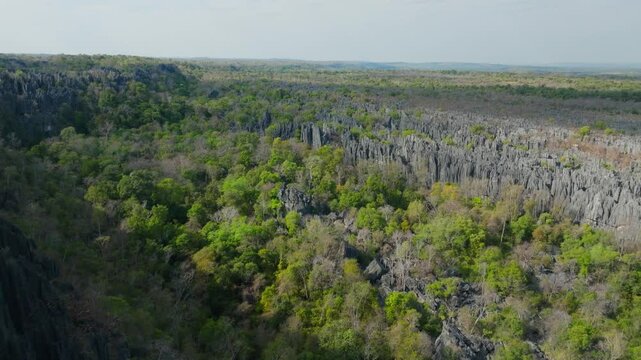 Aerial perspective of Tsingy de Bemaraha National Park, showcasing the unique and challenging landscape of this UNESCO World Heritage Site