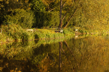 lake in the woods in autumn
