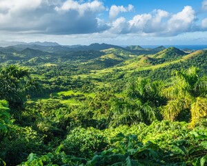 Obraz premium Scenic landscape with lush greenery and distant hills