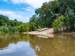 Obraz premium Amazonia