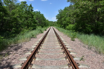 Fototapeta premium Exclusion Zone