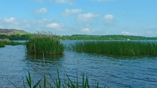 Neuseeland St&ouml;rmthaler See bei Leipzig, Sachsen Panoramablick im Sommer