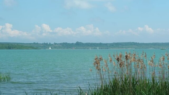 Neuseeland St&ouml;rmthaler See bei Leipzig, Sachsen Panoramablick im Sommer