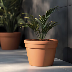 Obraz premium Clay-Brown Plant Pot Mockup Set with Freshly Potted Herbs