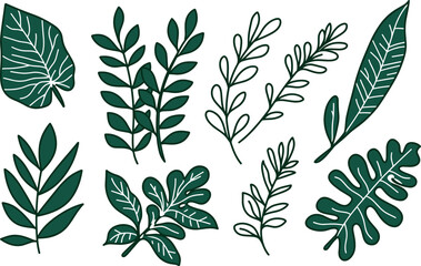 Fototapeta premium Hand-Drawn Green Leaves Vector Doodle Collection - Nature Elements