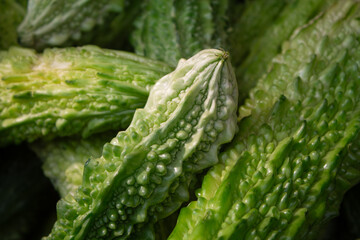Momordica charantia or bitter melon, cerassee, goya,  cucumber on the market. Tropical and...