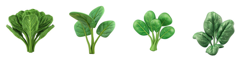 3d render spinach isolated on transparent background Cartoon Illustration in plastic style