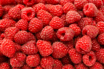 Tasty fresh raspberry as a background.