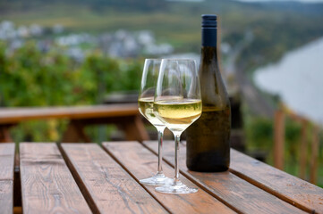Glasses of white dry riesling wine made on Moselle river valley in Germany or Luxembourg, view on terraced vineyards