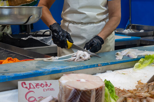 Assortment of fresh ocean daily catch of different tuna, cazon, sharks, fish, prawns, seashells, molluscs on ice on fish market in Jerez de la Frontera, Andalusia, Spain