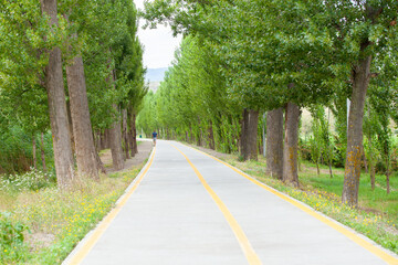 Bicycle and pedestrian path around Lake Lisi, Tbilisi
