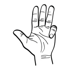 illustration of a hand raising the thumb, index finger, middle finger and ring finger. hand gestures. vector