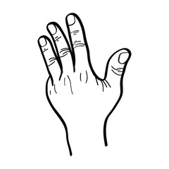 illustration of a hand raising the thumb, index finger, middle finger and ring finger. hand gestures. vector