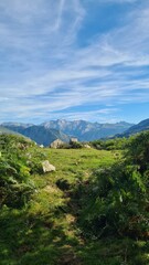 Obraz premium L'un des cromlechs de Lous Couraus dominant la vallée d'Ossau