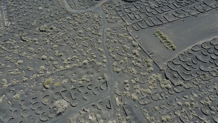 vue aérienne de vignobles et champs cultivés près du parc national des volcans de Timanfaya sur l'île de Lanzarote aux canaries en Espagne
