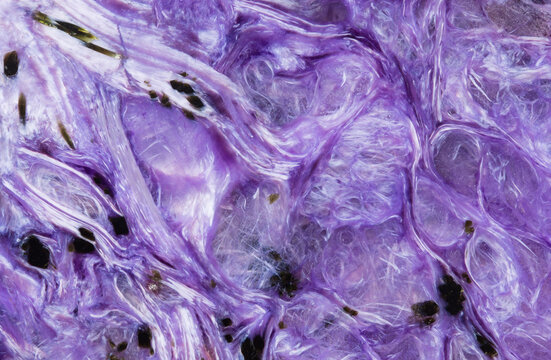 Macro photograph of charoite from Siberia, displaying vivid patterns