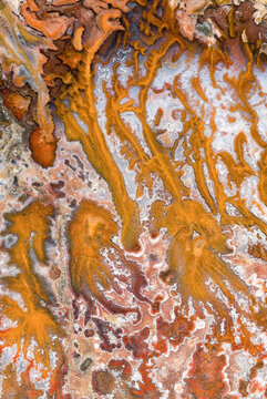 Natural abstract patterns in vibrant earth tones