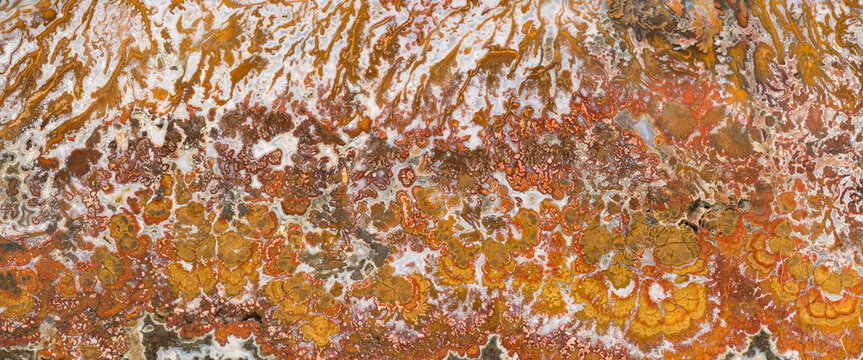 Abstract earthy texture with vibrant rust patterns