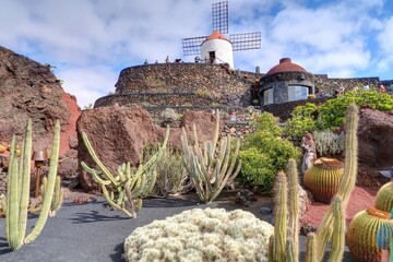 jardin de cactus à Lanzarote