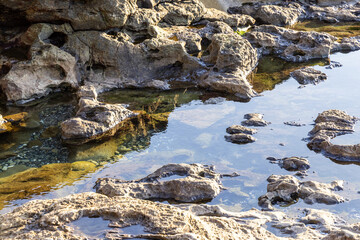 Fototapeta premium Rocky Tide Pools on Vancouver Island's West Coast at Sunset