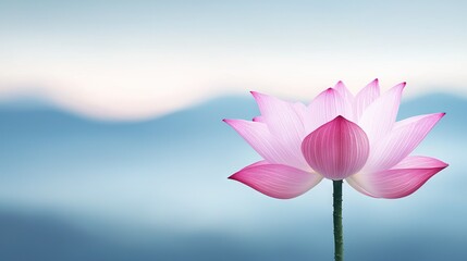 Obraz premium a pink flower against a blue sky and a sharp view of water in the foreground