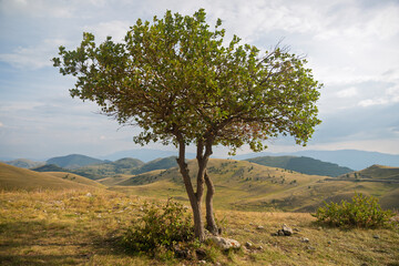 tourist photos of italy