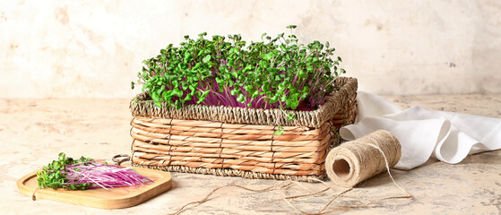 Wicker basket with fresh micro green and rope on light background