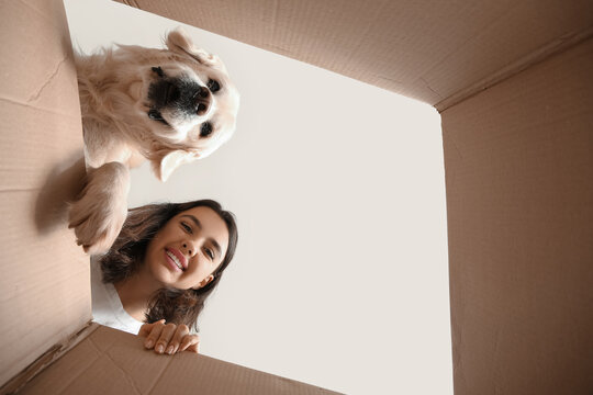 Young happy woman and cute Labrador dog looking inside box on moving day at home, bottom view