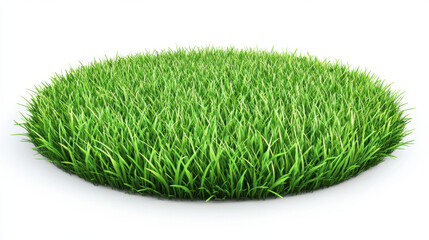 Lush green grass meadow on white background, perfect for nature themed designs and projects. This vibrant grass adds fresh touch to any creative work