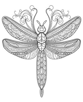 recommend clip art: Intricate Line Art Mandala Dragonfly Illustration on White Background