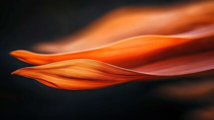 Obraz premium A painting of an orange flower on a black background with a blurred image of the same on the left