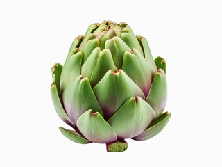 Obraz premium Closeup of a whole head of artichoke (also known by the names French artichoke, green artichoke, and globe artichoke) isolated on a white background.