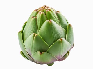 Obraz premium Closeup of a whole head of artichoke (also known by the names French artichoke, green artichoke, and globe artichoke) isolated on a white background.