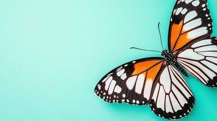 Obraz premium A close-up of a butterfly on a blue surface with a light blue background and a green background