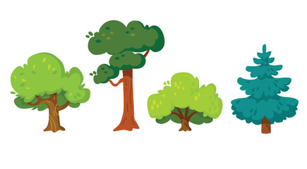 Fototapeta premium Set collection of deciduous and evergreen forest trees, plants in flat vector design isolated on white background. Botanical collection of trees with leaves and lush crowns. Flat vector illustration.