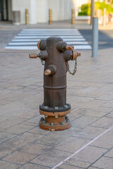 Fototapeta premium iron fire hydrant on sidewalk