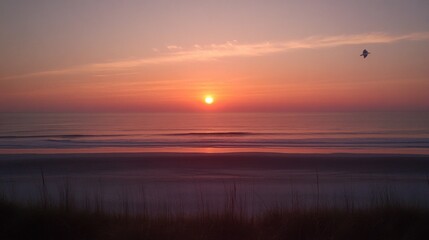 Fototapeta premium Serene sunrise over ocean beach with soft, blurred waves and dune grasses.