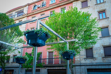 macetas tiestos colgantes urbanos 2024
