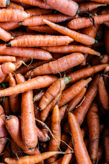 Fototapeta premium Organic veg - carrots