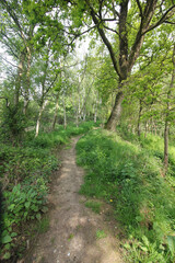 Obraz premium Queens Hill Costessey Norwich, United Kingdom, May 2, 2024. Views from Queens Hill Forest