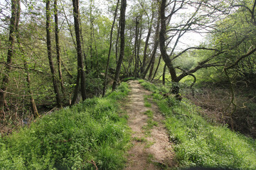Queens Hill Costessey Norwich, United Kingdom, May 2, 2024. Views from Queens Hill Forest