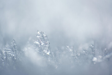 Macro shot of ice crystal form on top frozen surface