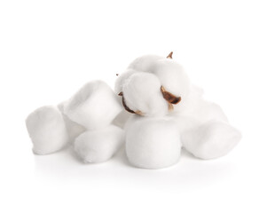 Cotton balls and flower on white background
