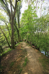 Obraz premium Queens Hill Costessey Norwich, United Kingdom, May 2, 2024. Views from Queens Hill Forest