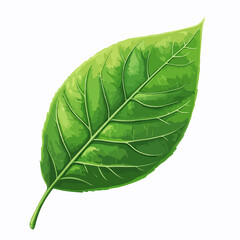 Obraz premium Ecology Vector Illustration with Lush Green Leaves and Nature Elements