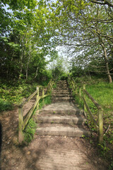 Obraz premium Queens Hill Costessey Norwich, United Kingdom, May 2, 2024. Views from Queens Hill Forest