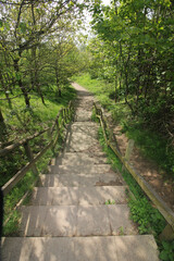 Queens Hill Costessey Norwich, United Kingdom, May 2, 2024. Views from Queens Hill Forest