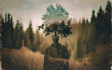 Man with a tree for a head standing in a forest during twilight surrounded by serene nature