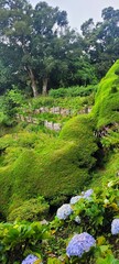 Zona verde