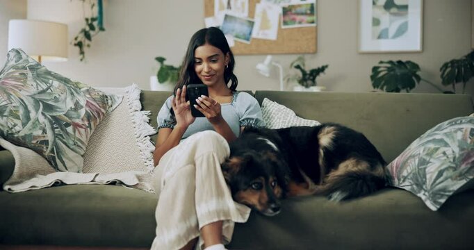 Phone, relax and happy woman in home with dog for bonding, scroll social media and reading animal blog. Smile, pet and mobile for communication on sofa, text or Indian girl check online notification